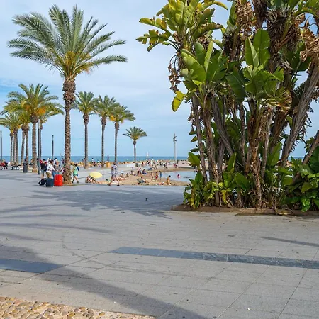 Casa Terra: 50 Meters From The Torrevieja