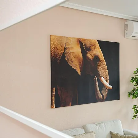 Appartement Casa Terra: 50 Meters From The