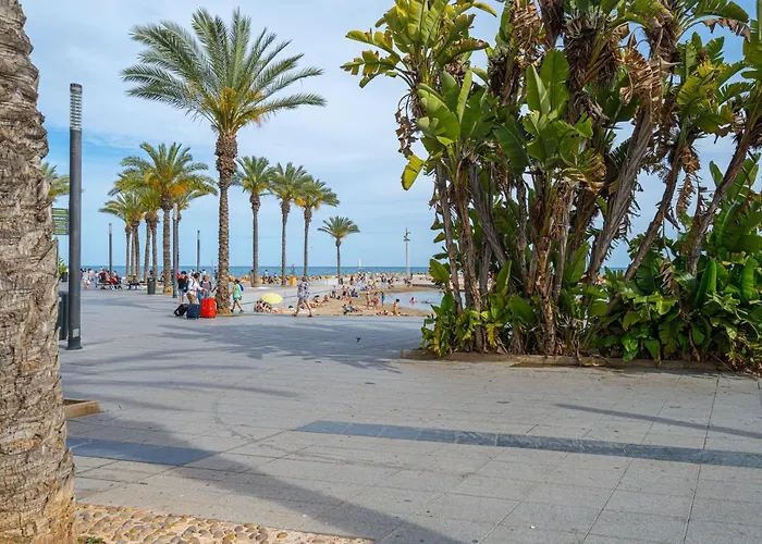 Casa Terra: 50 Meters From The Torrevieja